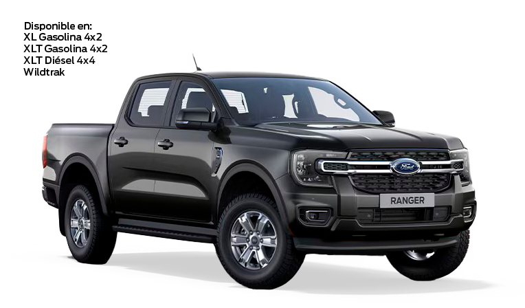 Gris Carbono