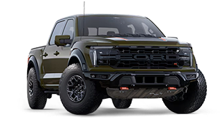 LOBO RAPTOR